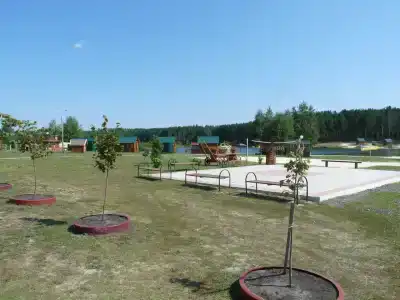 Сосновка - 41