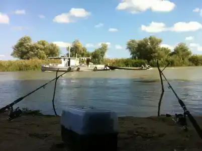 Донгар - 7