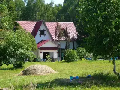 Подсолнухи - 12