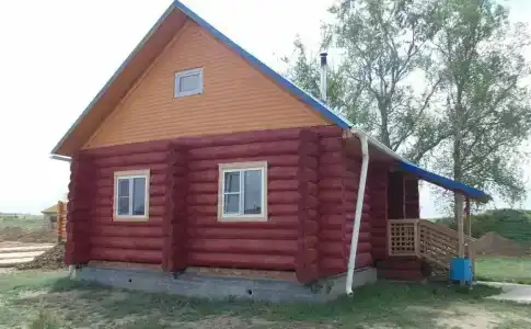 Селитрон - 1