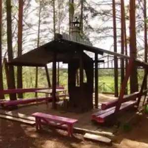 Лесная - 0