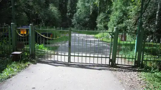 Лесной Родник - 4