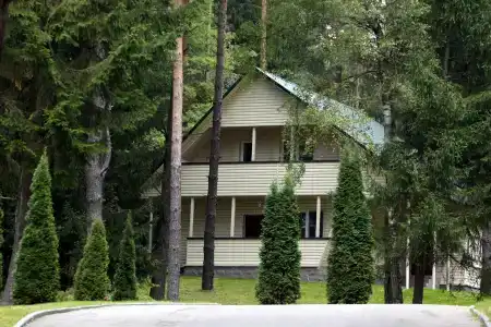 Дипсервис - 7