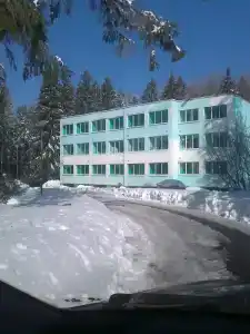 Хвойная - 3