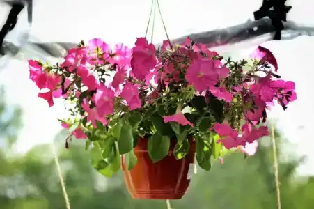 Глэмпинг  Прованс - 76