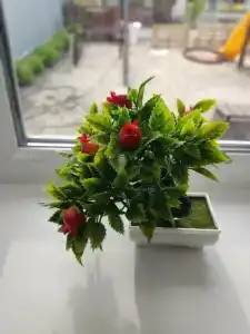 Пол&Пути - 40