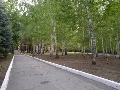 Волга - 61