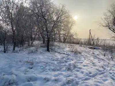 Веселый Кабан - 19