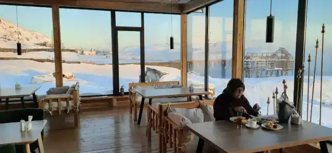 Cedar Grass Териберка - 19