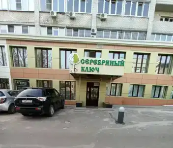 Серебряный ключ - 4