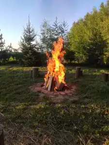 Медвежье урочище - 54