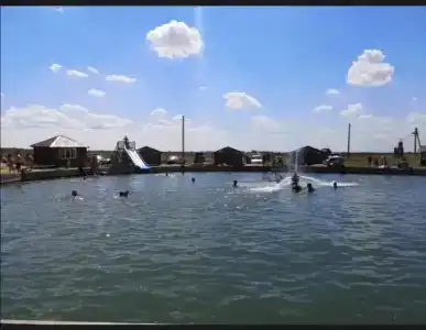 Сероводородный источник - 11