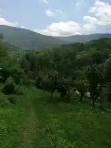 База отдыха у Иваныча - 46