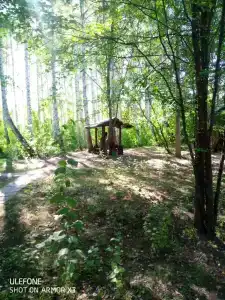 Россия - 42