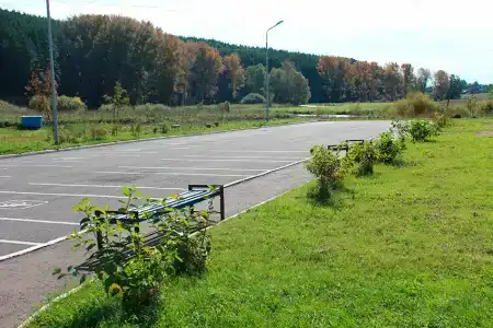 МАУ ФОК Триумф в Мишкино - 15