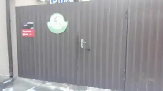 Киви - 9