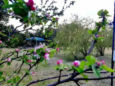 В гостях у Джокера - 43