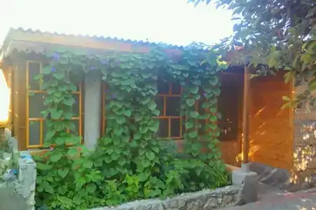 Хуторок - 21