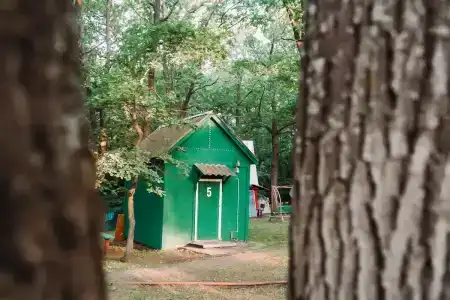 Сашуля - 15