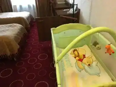 Центральная - 65