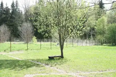 Беликово - 37