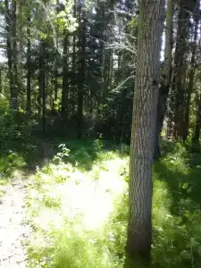 Живой источник - 7