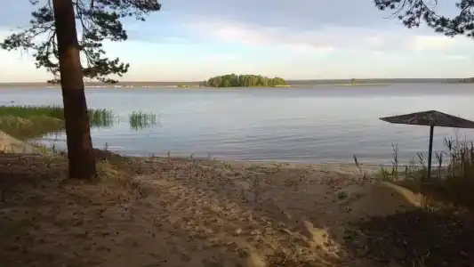 Добрыня - 1