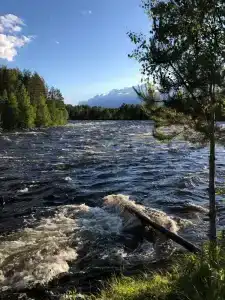 Сегежа Парк - 44