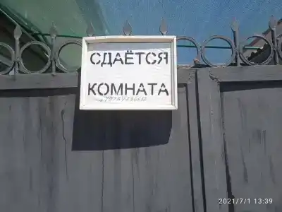Мила - 4