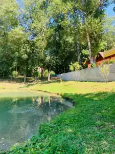 Комарово клуб - 42