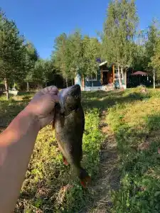 Сегежа Парк - 51