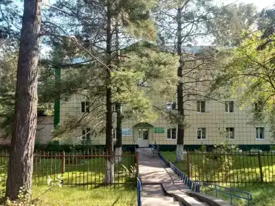 Гаузский - 11