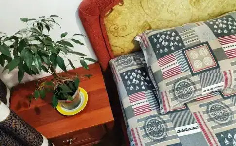 Alla House - 12
