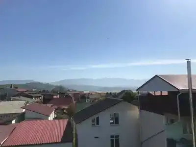 Виолетта на Лескова - 1