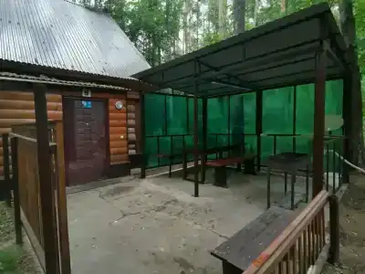 Жара - 31