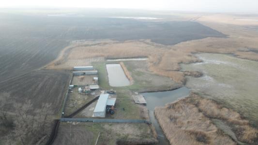 Оазис Станицы - 31