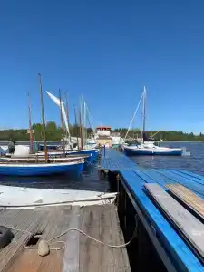 Saari - 0
