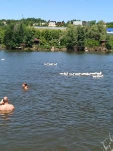 Монахов пруд - 55