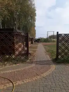 Алые паруса - 11