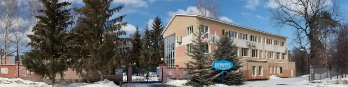 Берёзка - 0