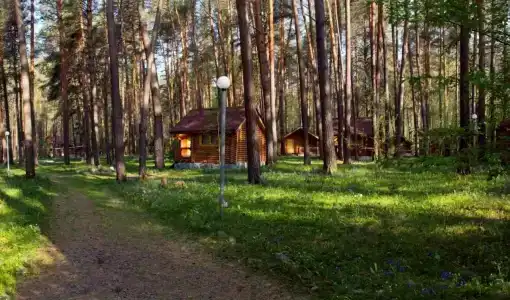 Топлес - 25
