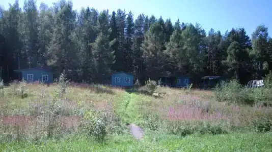 Лесной Родник - 26