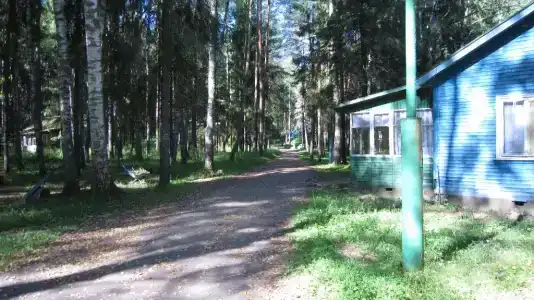 Лесной Родник - 74