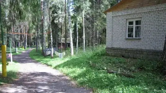 Лесной Родник - 0