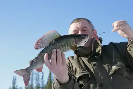 Индель - 34