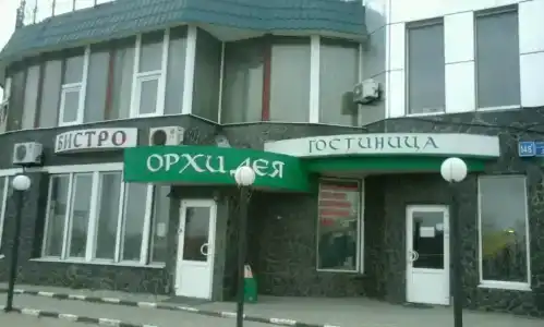 Орхидея - 1