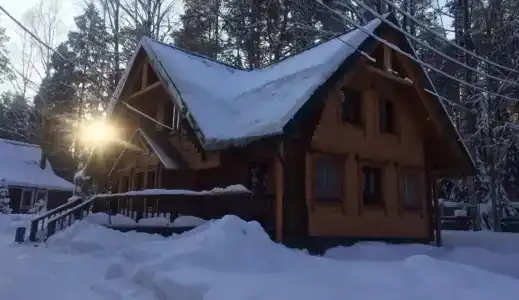 Лесной квартал - 0