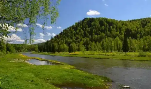 Замок Эдельвейс - 11