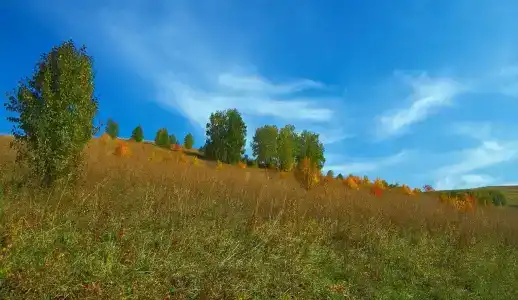 Медвежий Угол Алтай - 48