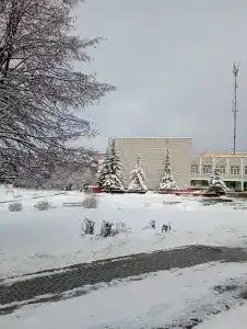 Пралеска - 1